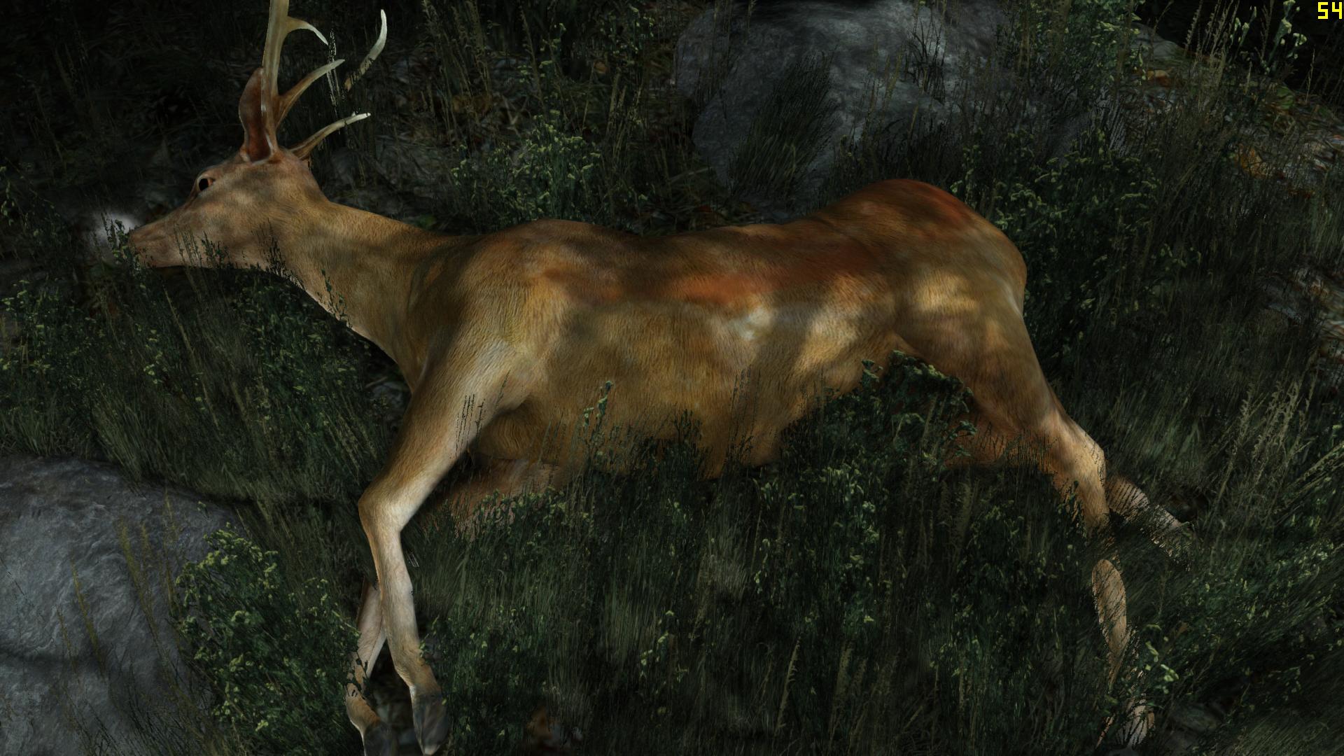 TombRaider 2013-08-24 06-29-47-48.jpg