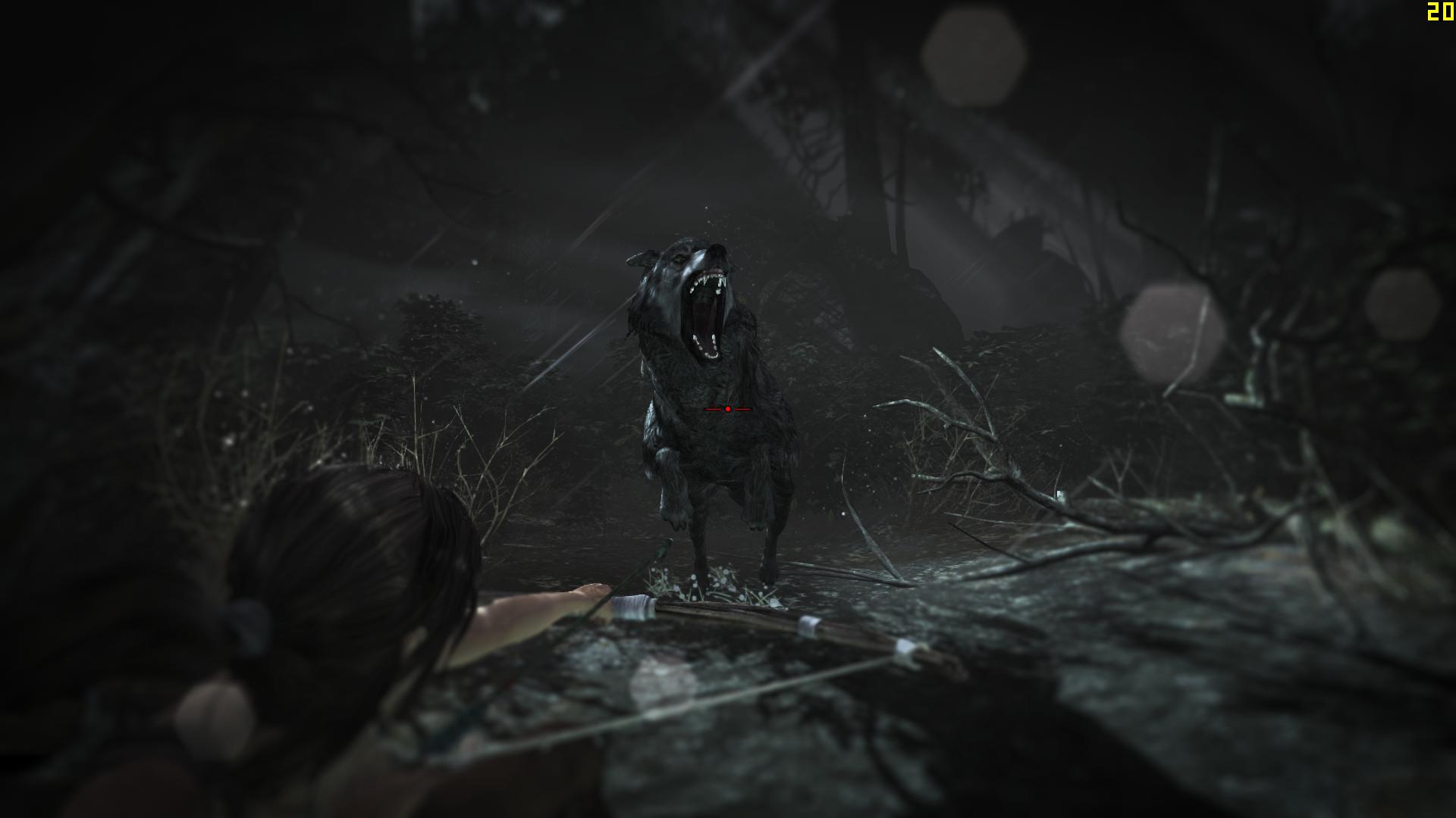 TombRaider 2013-08-24 06-40-32-00.jpg