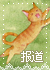 报道.jpg