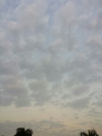 IMG_20131204_161042.jpg
