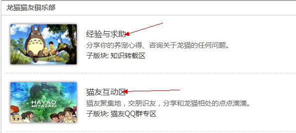 141605ckhrohr4v5sih2zi.jpg.thumb.jpg