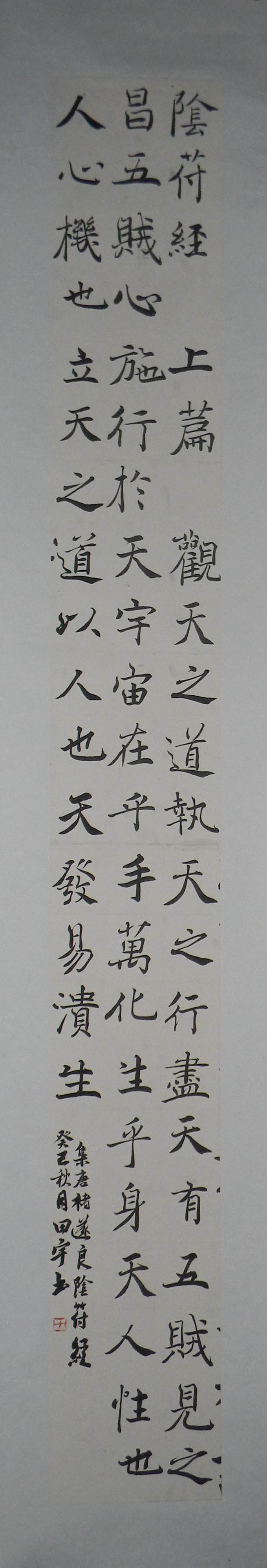 DSCN6343.jpg