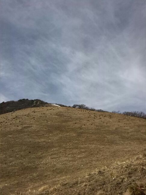 IMG_20140119_084715.jpg