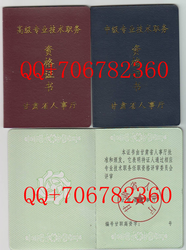 甘肃省高级专业技术职务资格証工程师証樣本
