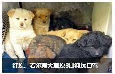 QQ图片20140307180922.jpg
