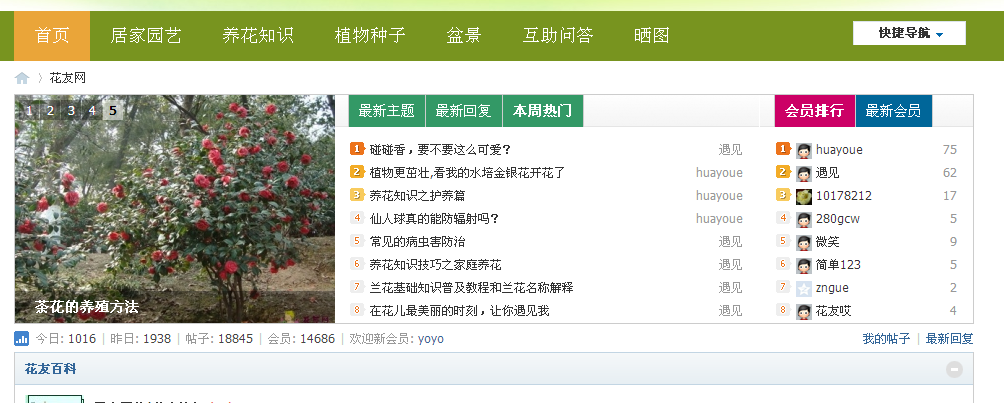 花友网_花卉论坛,盆景艺术,养花知识,养花社区!.png