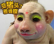 pig.gif