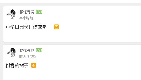 QQ图片20150729171236.png