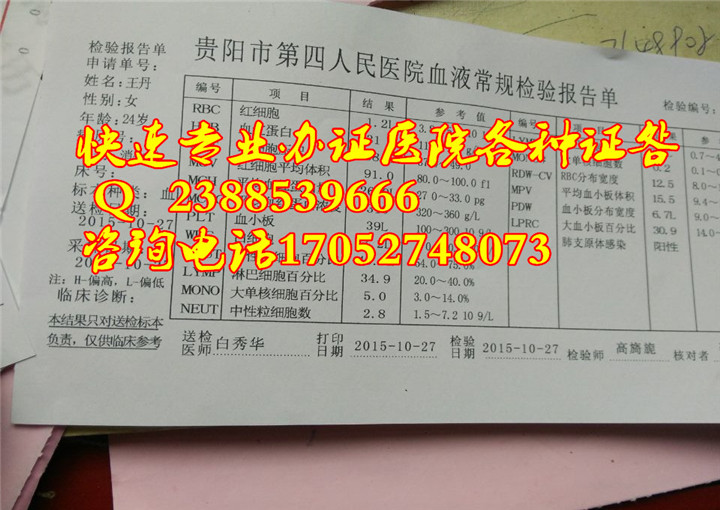 贵阳944A0A_副本.jpg