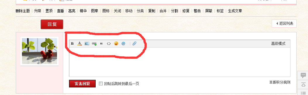 帖子编辑器.png