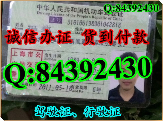 2016年 新版 驾驶证样本 驾驶证样本图片
