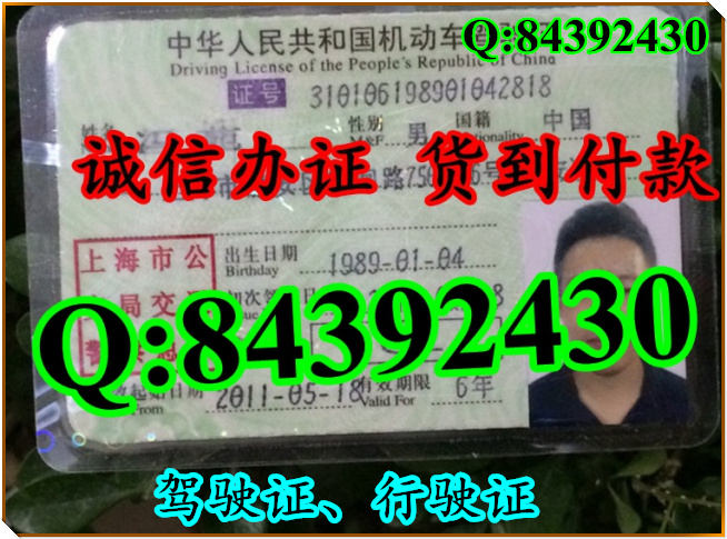 2016年 新版 驾驶证样本 驾驶证样本图片