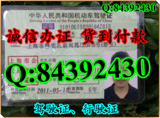 2016年 新版 驾驶证样本 驾驶证样本图片