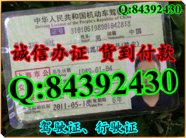 2016年 新版 驾驶证样本 驾驶证样本图片