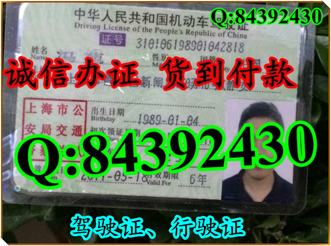2016年 新版 驾驶证样本 驾驶证样本图片