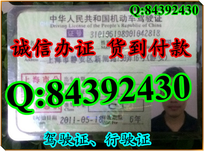2016年 新版 驾驶证样本 驾驶证样本图片