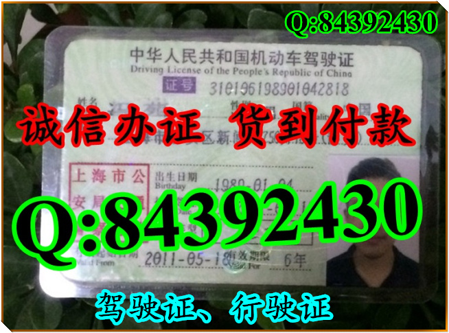 2016年 新版 驾驶证样本 驾驶证样本图片