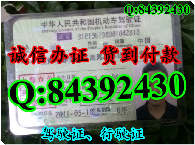 2016年 新版 驾驶证样本 驾驶证样本图片