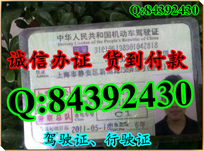 2016年 新版 驾驶证样本 驾驶证样本图片