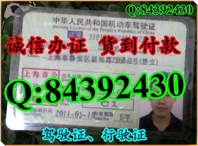 2016年 新版 驾驶证样本 驾驶证样本图片