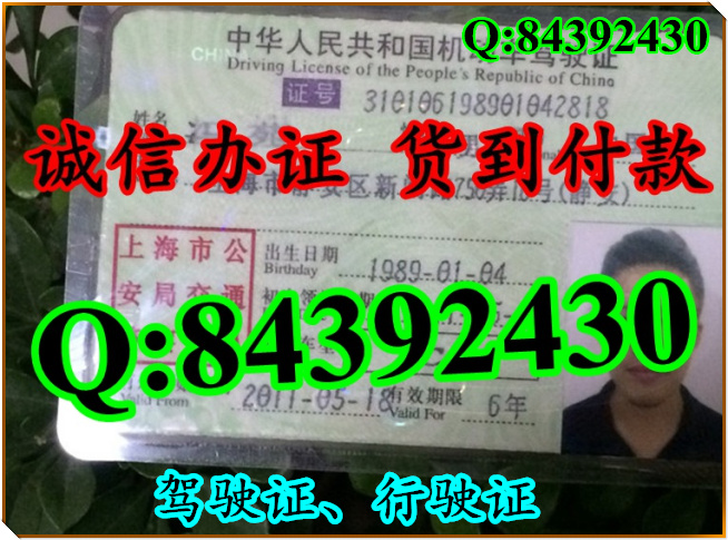 2016年 新版 驾驶证样本 驾驶证样本图片