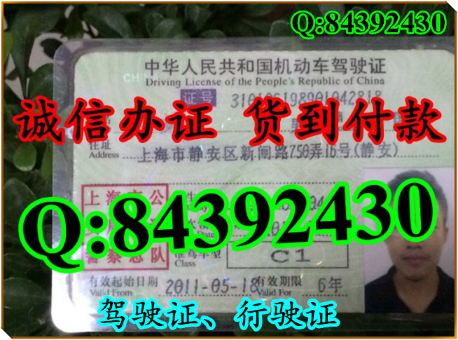 2016年 新版 驾驶证样本 驾驶证样本图片