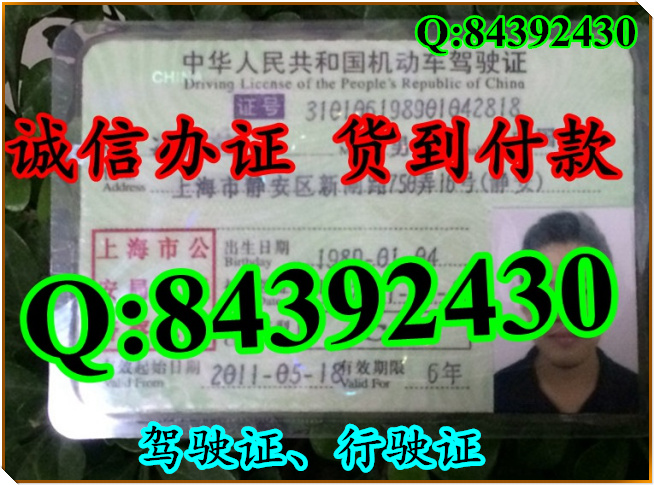 2016年 新版 驾驶证样本 驾驶证样本图片