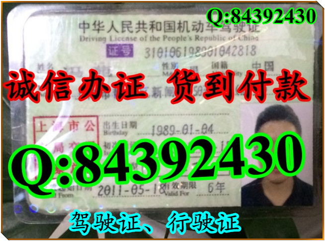 2016年 新版 驾驶证样本 驾驶证样本图片