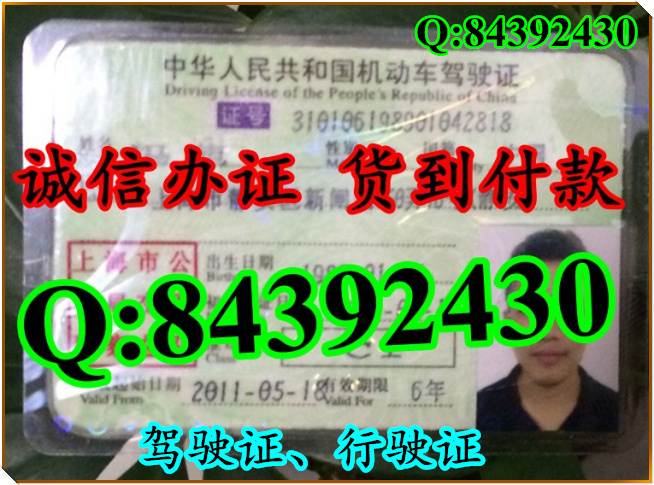 2016年 新版 驾驶证样本 驾驶证样本图片