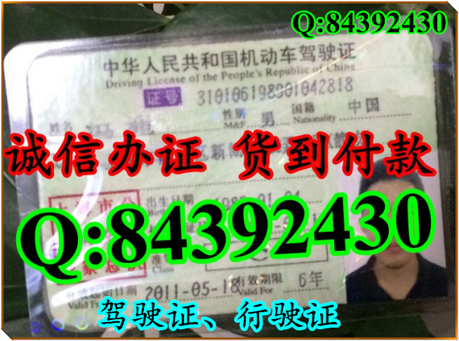 2016年 新版 驾驶证样本 驾驶证样本图片
