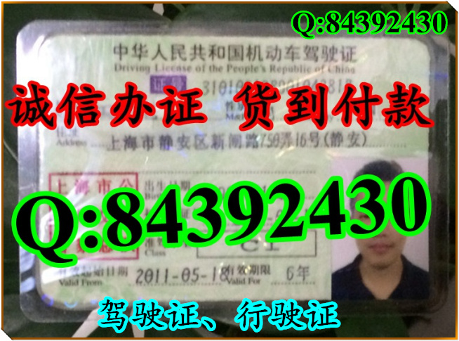 2016年 新版 驾驶证样本 驾驶证样本图片