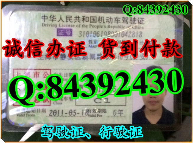2016年 新版 驾驶证样本 驾驶证样本图片