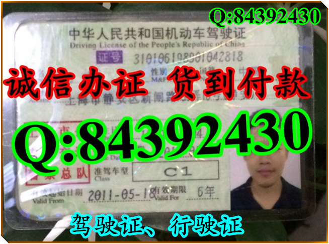 2016年 新版 驾驶证样本 驾驶证样本图片