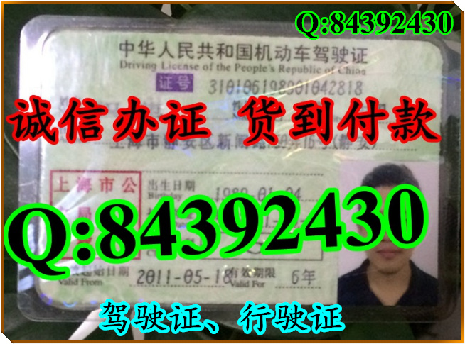 2016年 新版 驾驶证样本 驾驶证样本图片