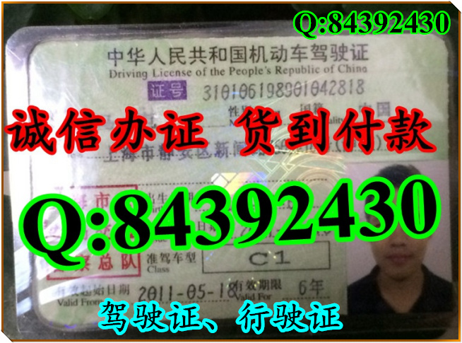 2016年 新版 驾驶证样本 驾驶证样本图片