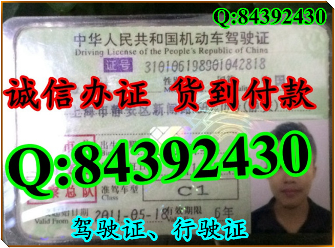 2016年 新版 驾驶证样本 驾驶证样本图片