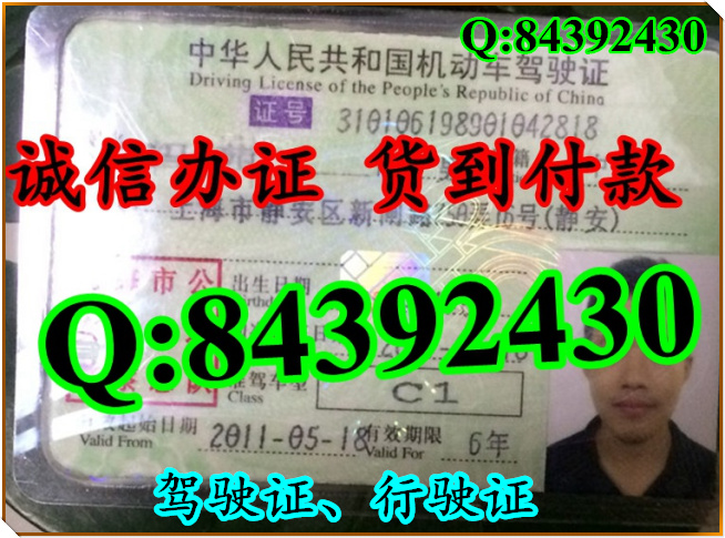 2016年 新版 驾驶证样本 驾驶证样本图片