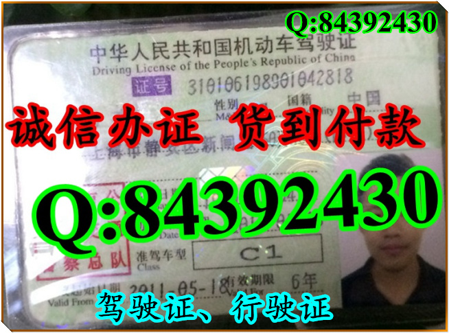 2016年 新版 驾驶证样本 驾驶证样本图片