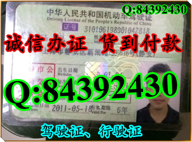 2016年 新版 驾驶证样本 驾驶证样本图片