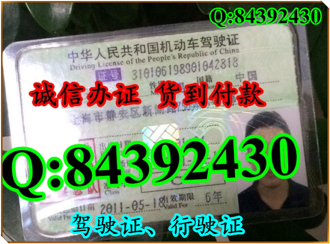 2016年 新版 驾驶证样本 驾驶证样本图片