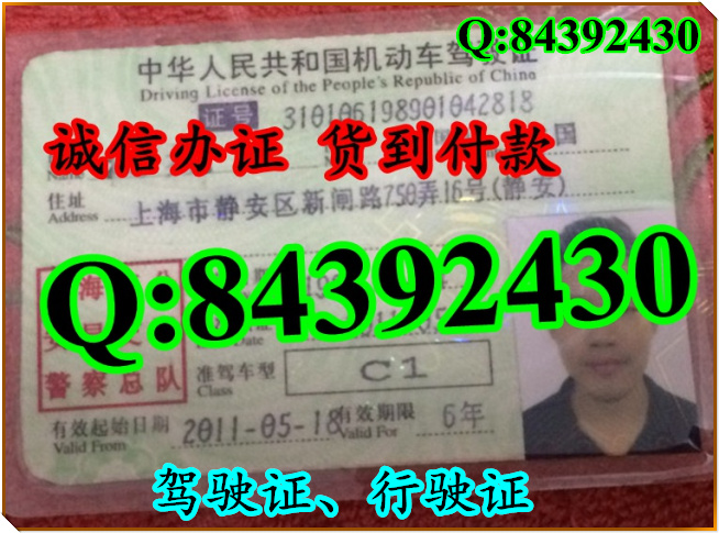 2016年 新版 驾驶证样本 驾驶证样本图片