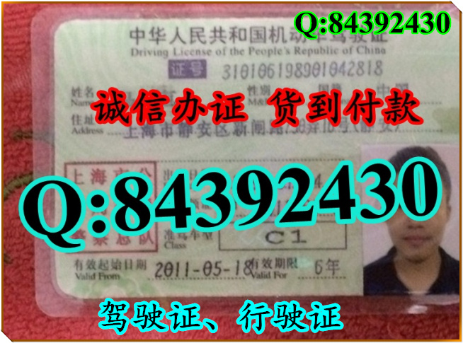 2016年 新版 驾驶证样本 驾驶证样本图片