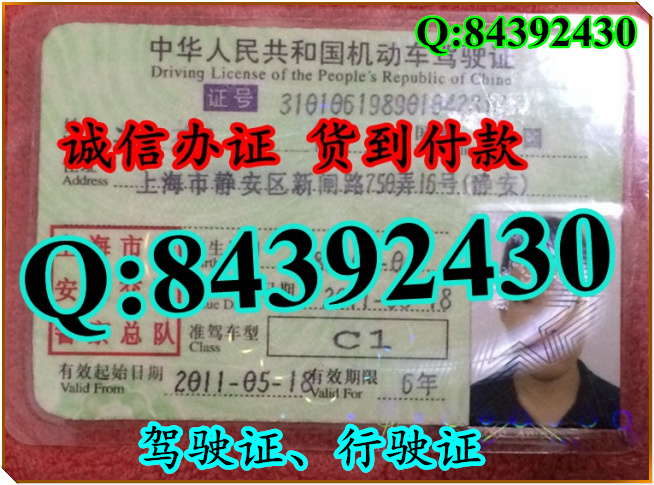 2016年 新版 驾驶证样本 驾驶证样本图片
