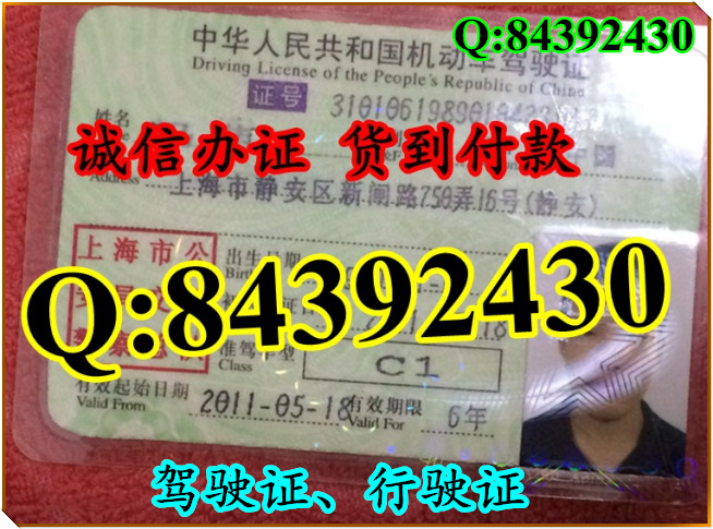 2016年 新版 驾驶证样本 驾驶证样本图片