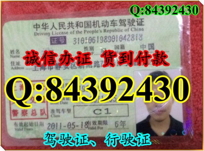 2016年 新版 驾驶证样本 驾驶证样本图片