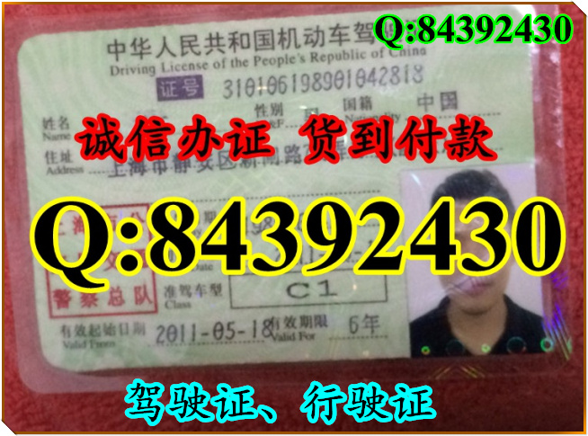 2016年 新版 驾驶证样本 驾驶证样本图片