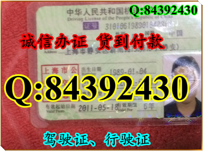 2016年 新版 驾驶证样本 驾驶证样本图片