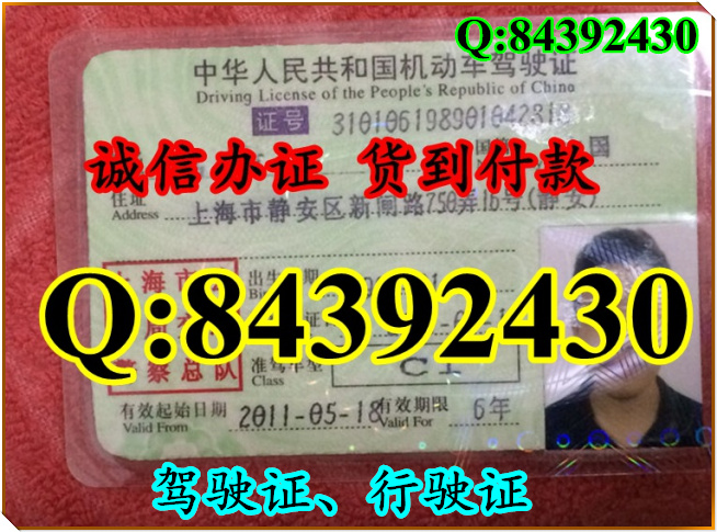 2016年 新版 驾驶证样本 驾驶证样本图片