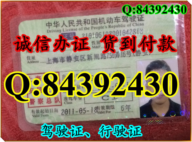 2016年 新版 驾驶证样本 驾驶证样本图片