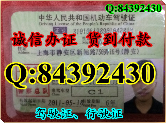 2016年 新版 驾驶证样本 驾驶证样本图片